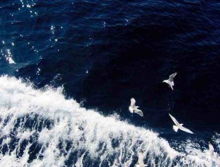 ΑΠΕΛΕΥΘΕΡΩΣΗ.