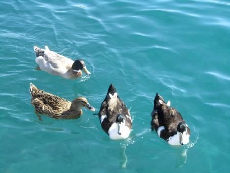 ΘΕΙΚΑ ΠΛΑΣΜΑΤΑ.