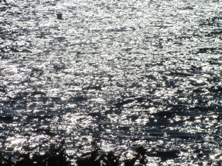 ΘΑΛΑΣΣΑ ΦΩΤΟΣ.