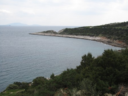 ΣΧΙΝΙΑΣ. ΦΥΣΙΚΟ ΜΕΓΑΛΕΙΟ.